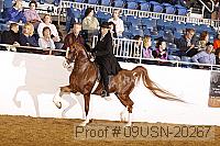 09usn-20267 proof