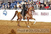 09usn-20276 proof