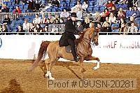09usn-20281 proof