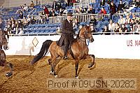 09usn-20282 proof