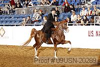 09usn-20289 proof
