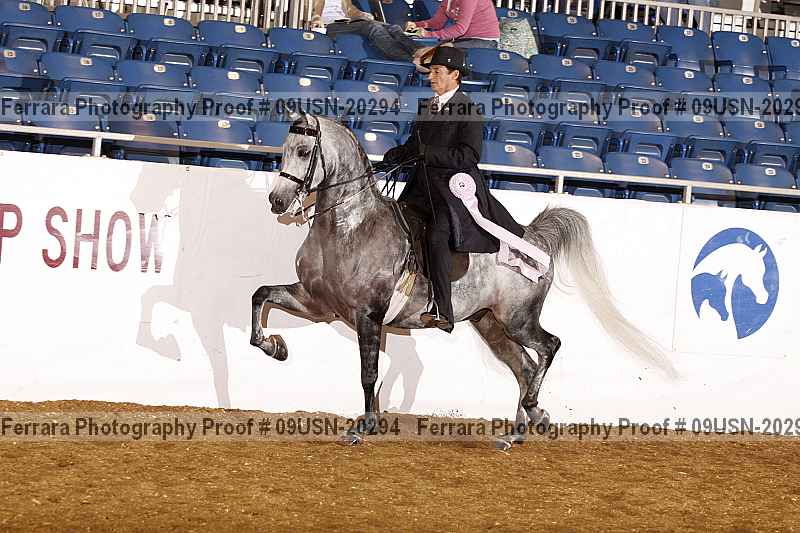 Proof 09usn-20294