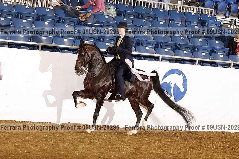 Proof 09usn-20296