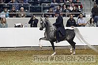 09usn-29051 proof