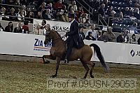 09usn-29053 proof
