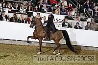 09usn-29058 proof