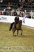 09usn-29096 proof