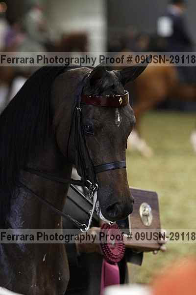 Proof 09usn-29118
