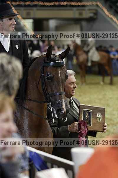 Proof 09usn-29125