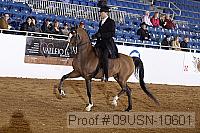 09usn-10601 proof