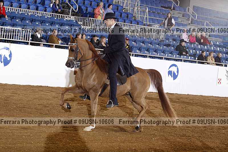 Proof 09usn-10606