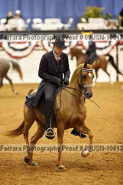 Proof 09usn-10613