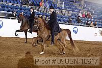 09usn-10617 proof