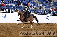 09usn-10619 proof