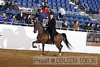 09usn-10636 proof
