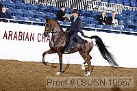 09usn-10667 proof