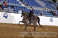 09usn-10688 proof