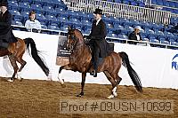 09usn-10699 proof