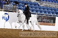 09usn-10704 proof