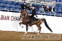 09usn-10731 proof