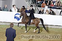 09usn-23000 proof