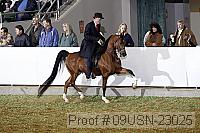 09usn-23025 proof