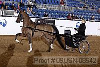 09usn-08542 proof