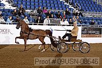 09usn-08546 proof