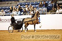09usn-08564 proof