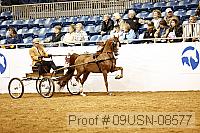 09usn-08577 proof