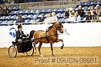 09usn-08581 proof