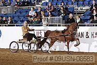 09usn-08583 proof