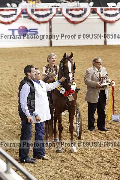 Proof 09usn-08594