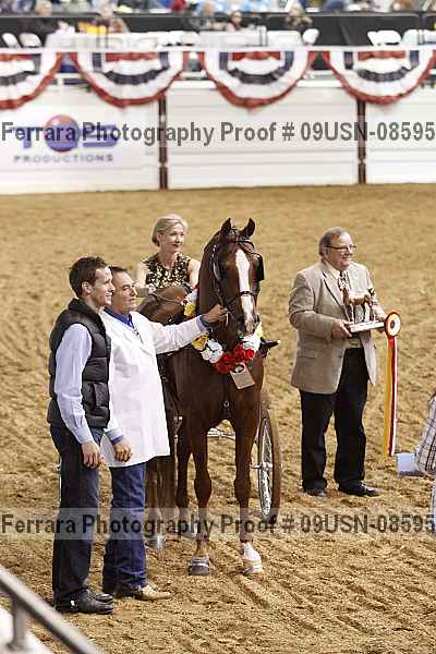 Proof 09usn-08595