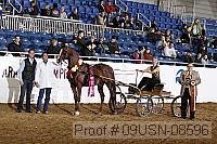 09usn-08596 proof