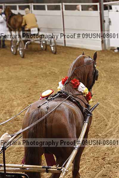 Proof 09usn-08601
