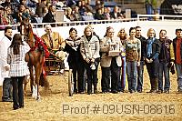 09usn-08616 proof