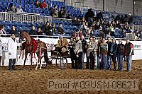 09usn-08621 proof