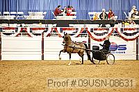 09usn-08631 proof