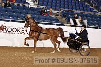 09usn-07615 proof