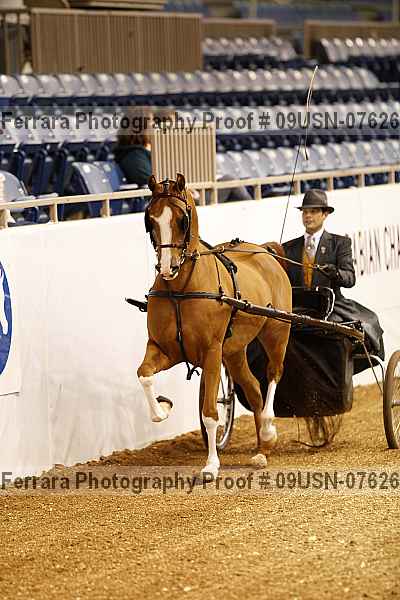 Proof 09usn-07626