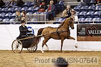 09usn-07644 proof