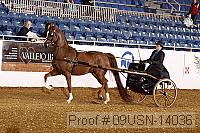 09usn-14036 proof