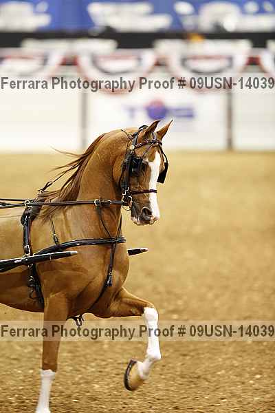 Proof 09usn-14039