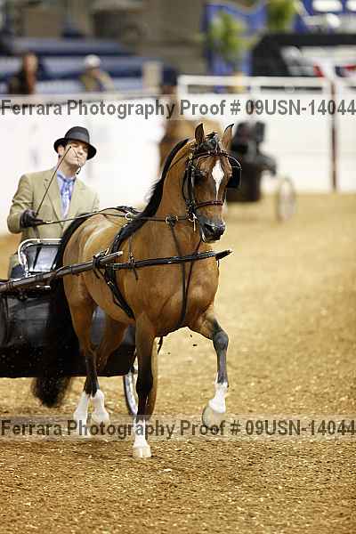 Proof 09usn-14044