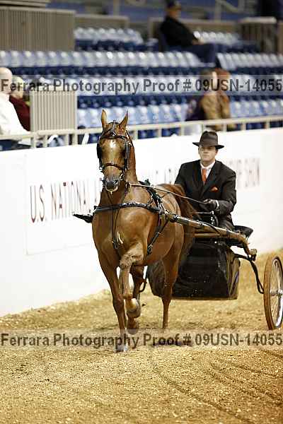 Proof 09usn-14055