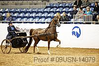 09usn-14079 proof