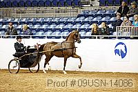 09usn-14086 proof