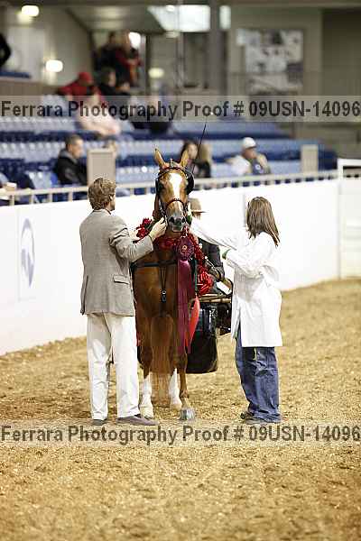 Proof 09usn-14096