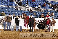 09usn-14105 proof